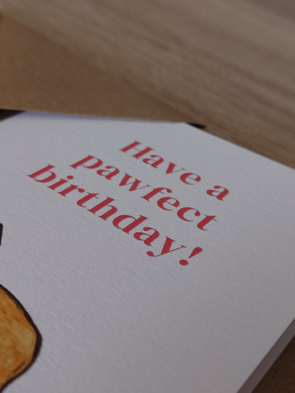 Dog Birthday Card