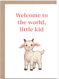 Little Kid New Baby Card