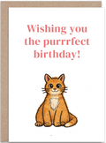 Cat Birthday Card
